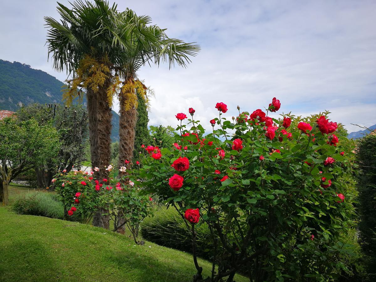 Bellagio Lake View Villa Oliveto Lario Εξωτερικό φωτογραφία