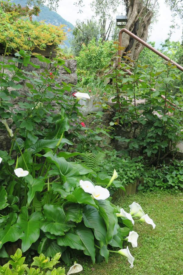 Bellagio Lake View Villa Oliveto Lario Εξωτερικό φωτογραφία