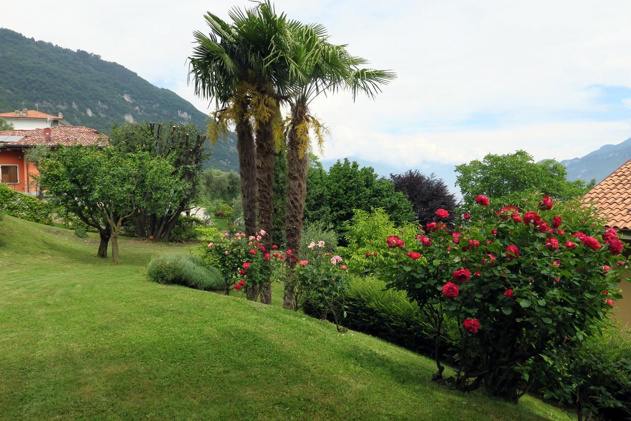 Bellagio Lake View Villa Oliveto Lario Εξωτερικό φωτογραφία