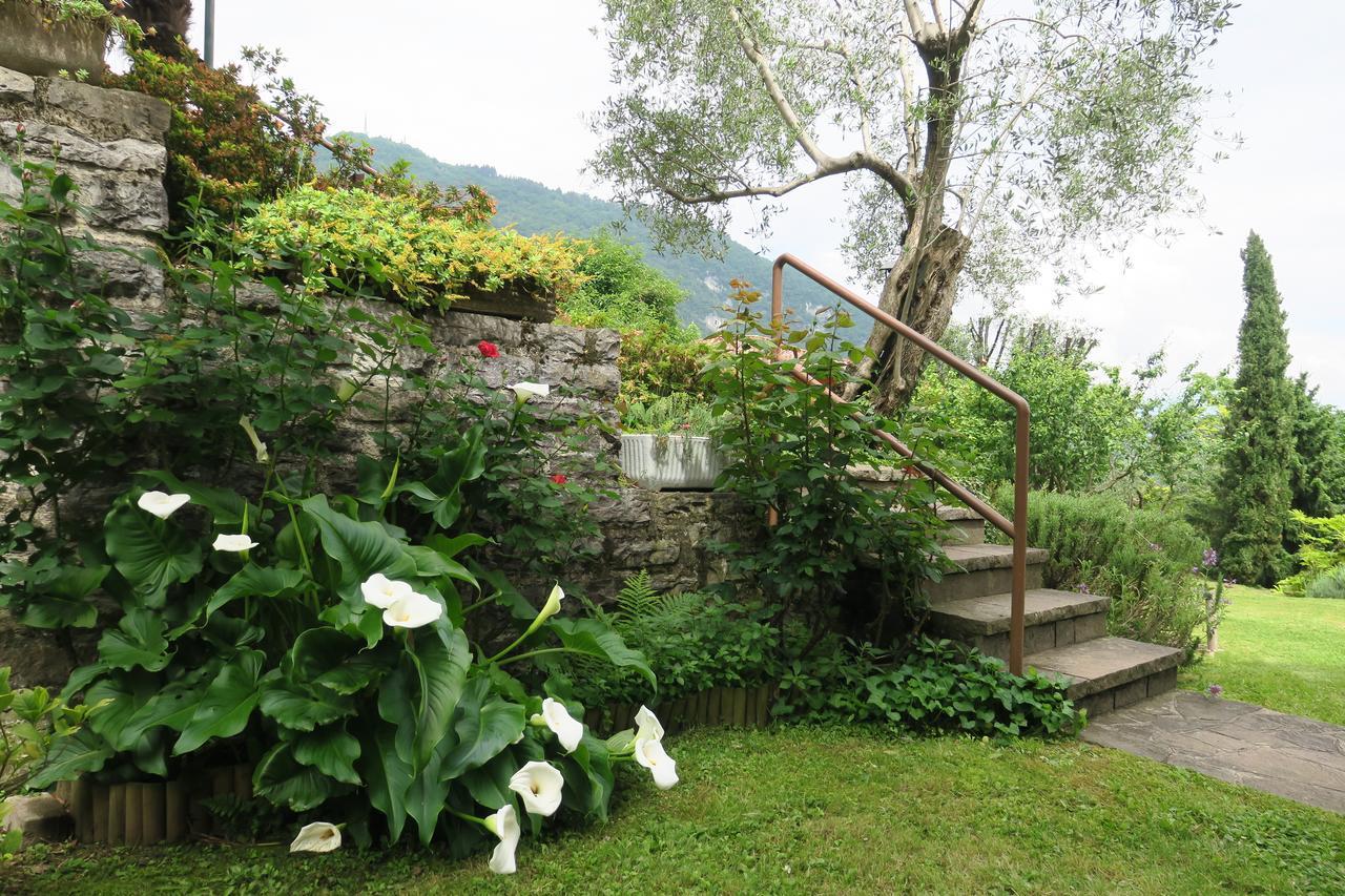 Bellagio Lake View Villa Oliveto Lario Εξωτερικό φωτογραφία