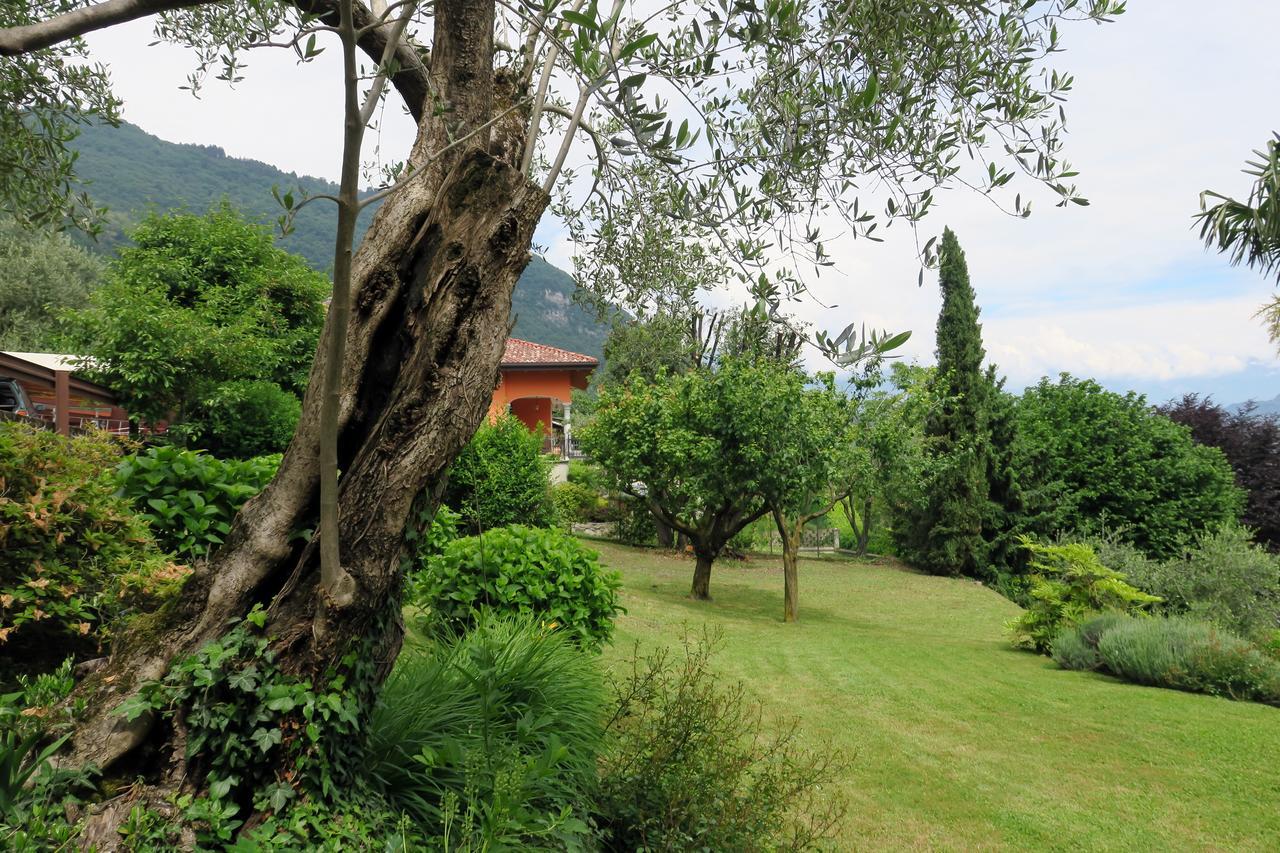 Bellagio Lake View Villa Oliveto Lario Εξωτερικό φωτογραφία