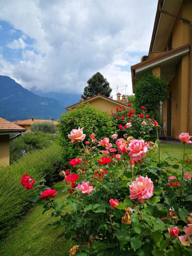 Bellagio Lake View Villa Oliveto Lario Εξωτερικό φωτογραφία