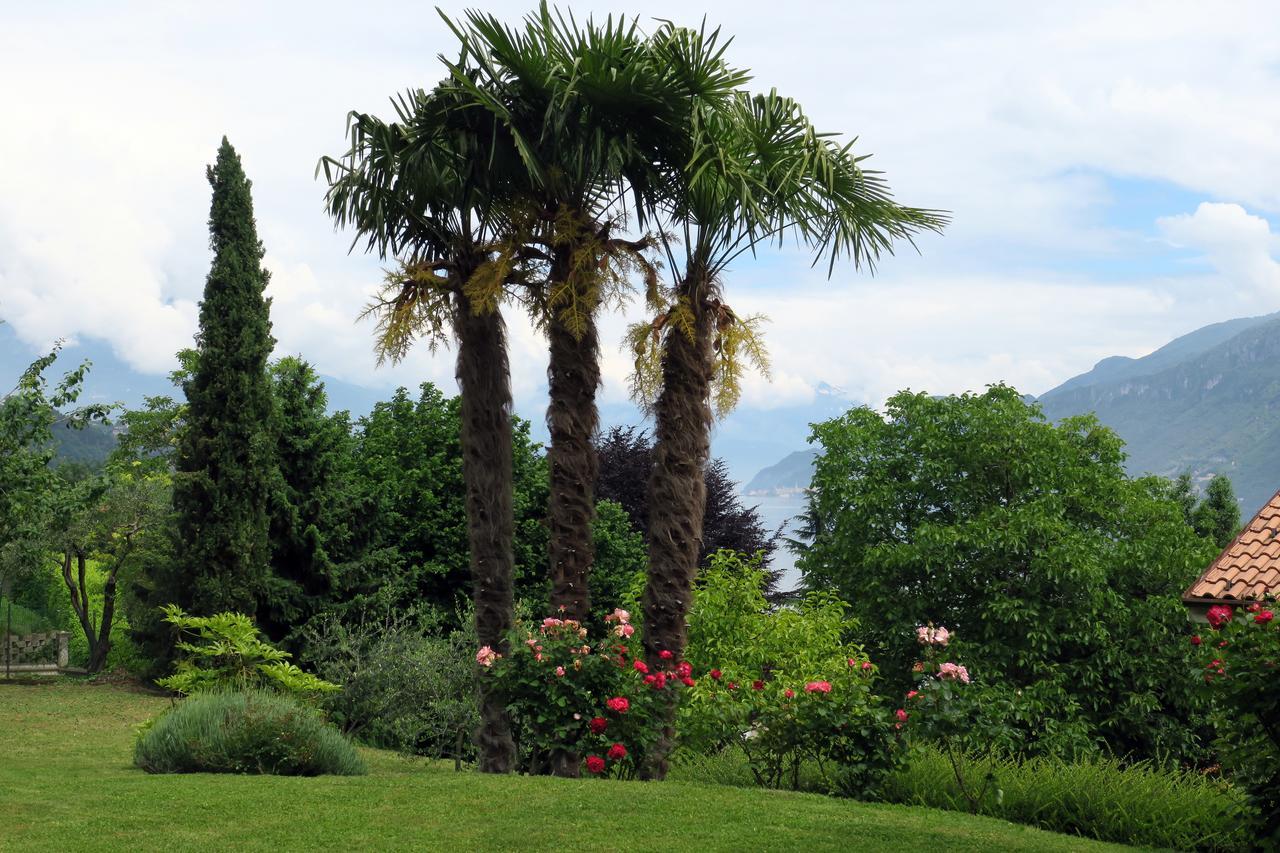 Bellagio Lake View Villa Oliveto Lario Εξωτερικό φωτογραφία